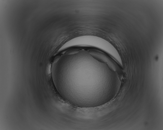 X0000095680041200801151135