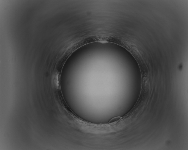 X0000095680042200801151135