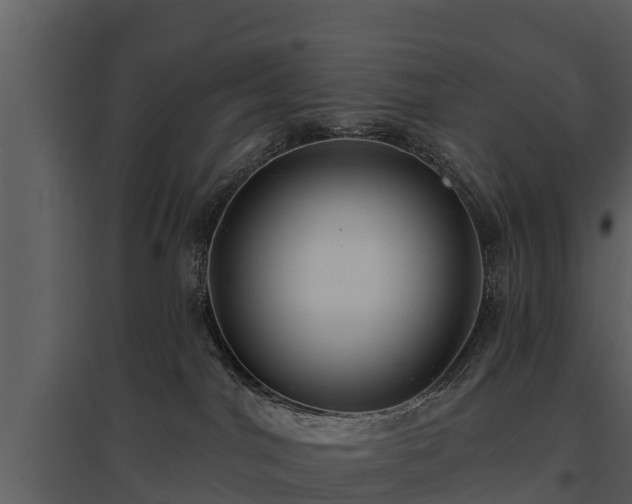 X0000095680044200801151135