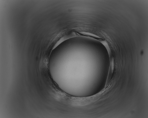 X0000095680045200801151135