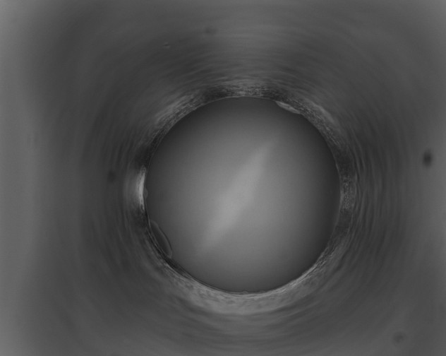 X0000095680047200801151135