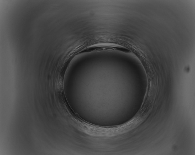 X0000095680048200801151135