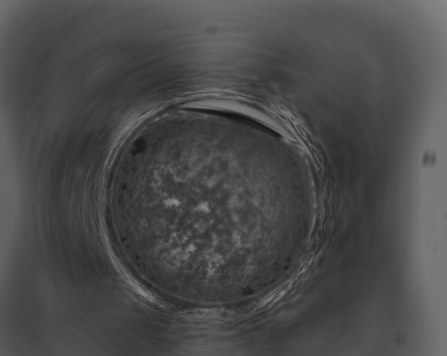 X0000095680049200801151134