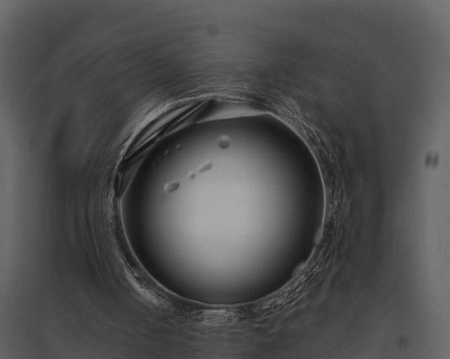 X0000095680050200801151134