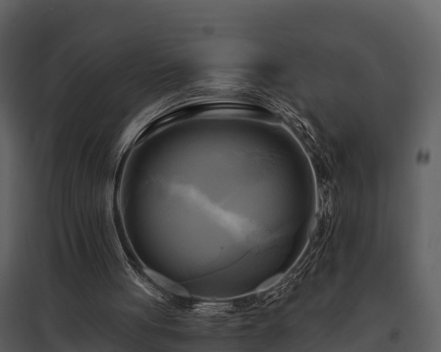 X0000095680051200801151134
