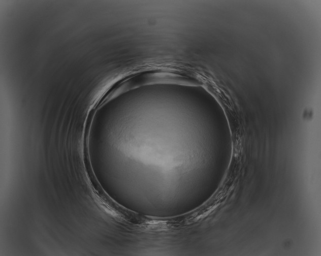 X0000095680052200801151134