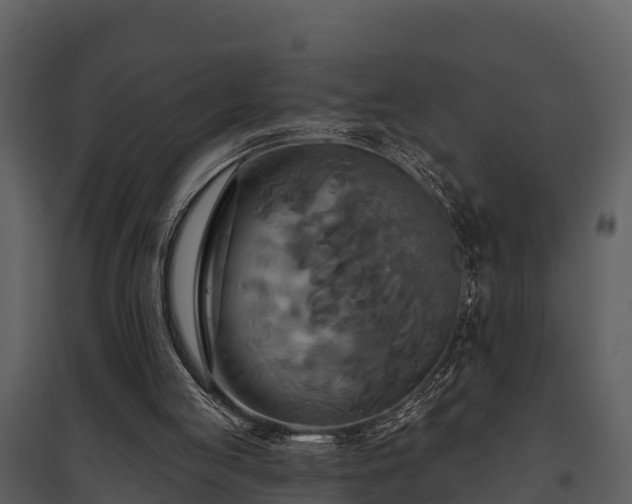 X0000095680053200801151135