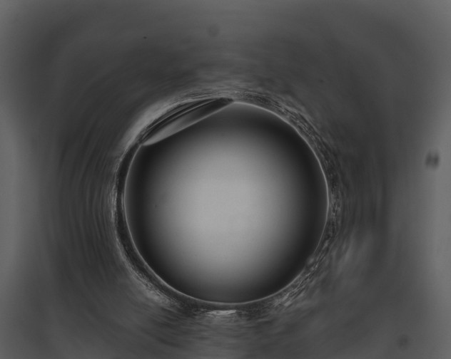 X0000095680054200801151135