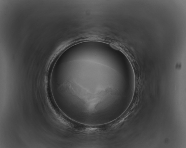 X0000095680055200801151135
