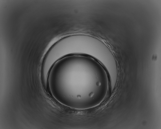 X0000095680056200801151135