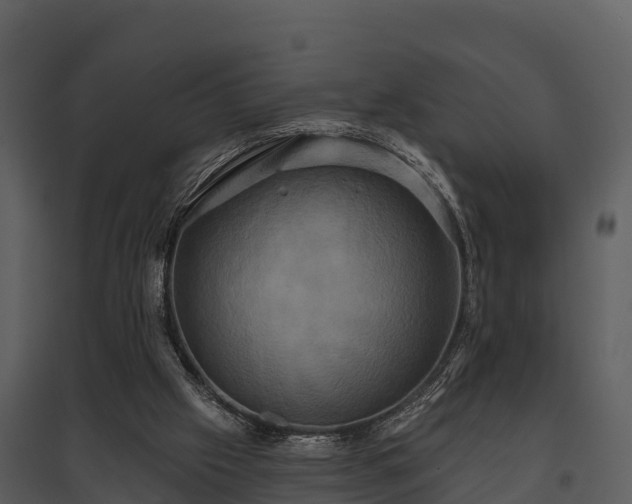 X0000095680057200801151135