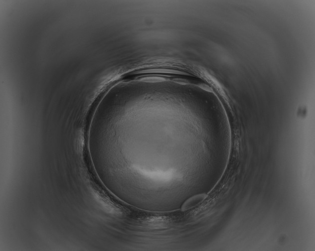 X0000095680059200801151135