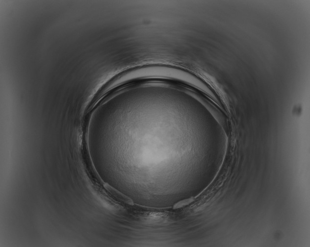 X0000095680060200801151135