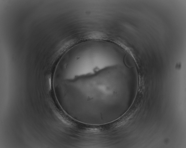 X0000095680061200801151135