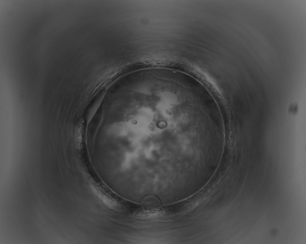 X0000095680065200801151135