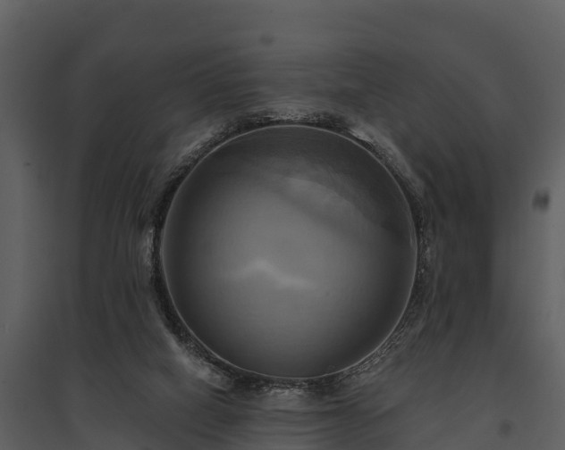 X0000095680066200801151135