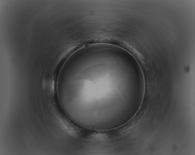 X0000095680067200801151135