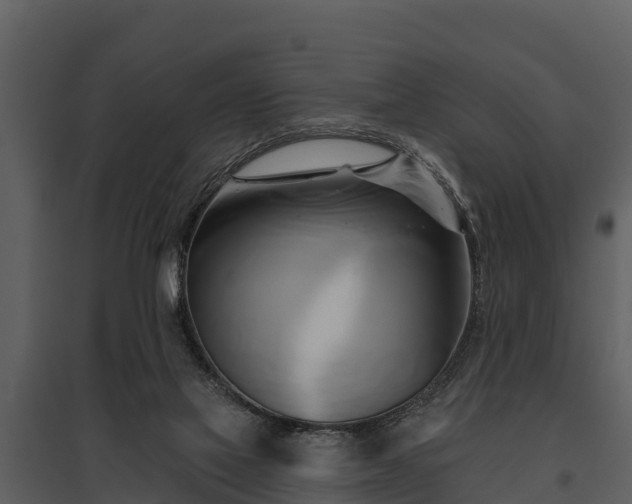 X0000095680069200801151135