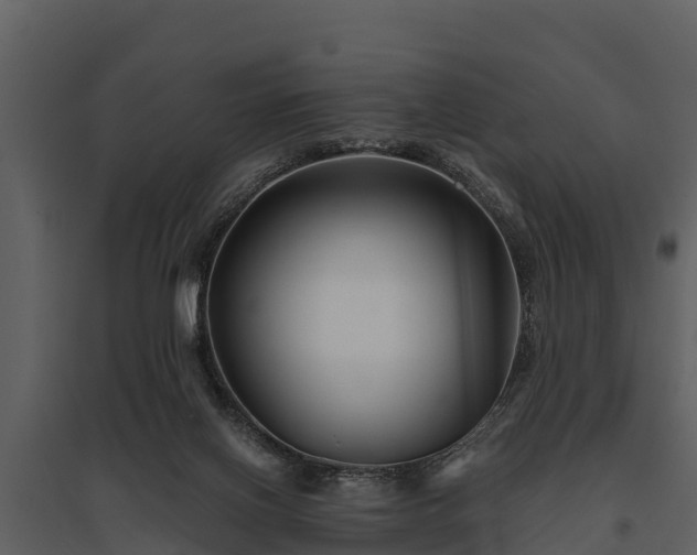 X0000095680070200801151135