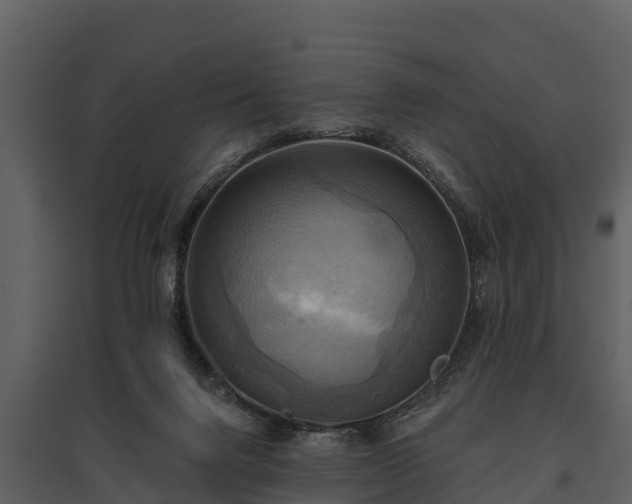 X0000095680072200801151135