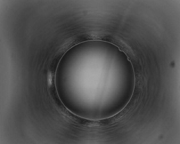 X0000095680075200801151135