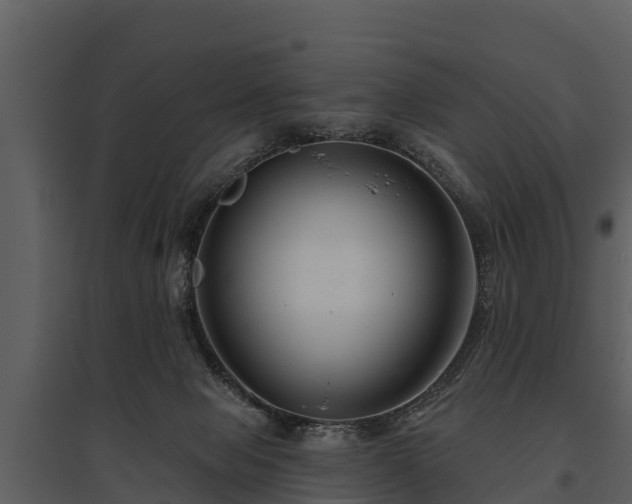 X0000095680077200801151135