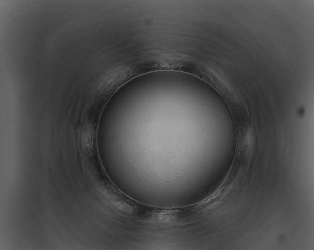 X0000095680078200801151135