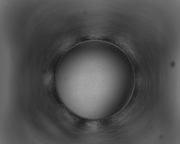 X0000095680079200801151135