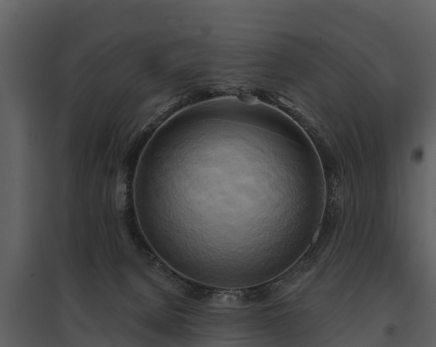 X0000095680080200801151135