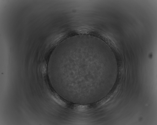 X0000095680081200801151135