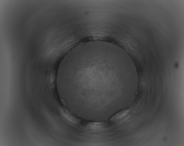X0000095680082200801151135