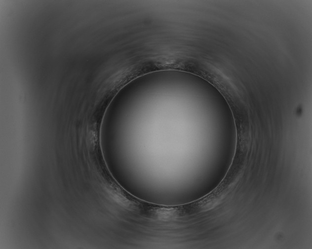 X0000095680085200801151135