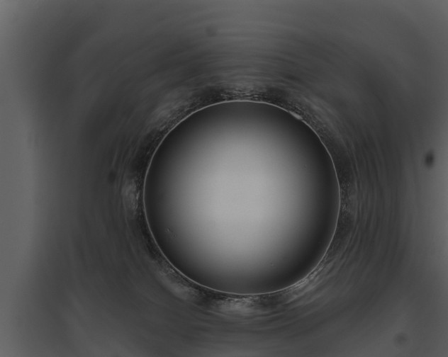 X0000095680086200801151135
