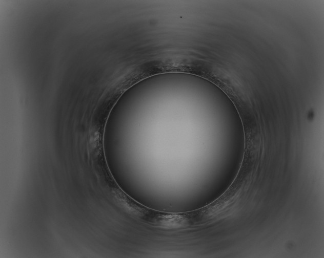X0000095680087200801151135