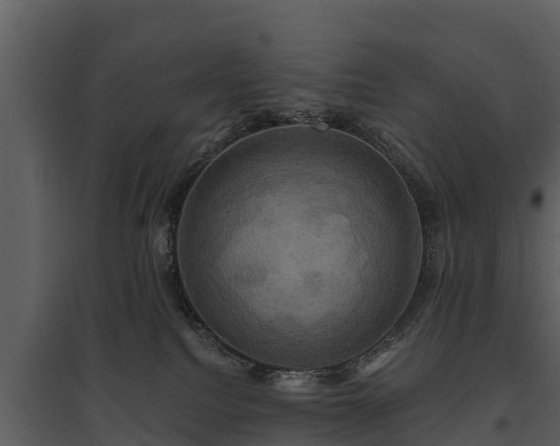 X0000095680088200801151135