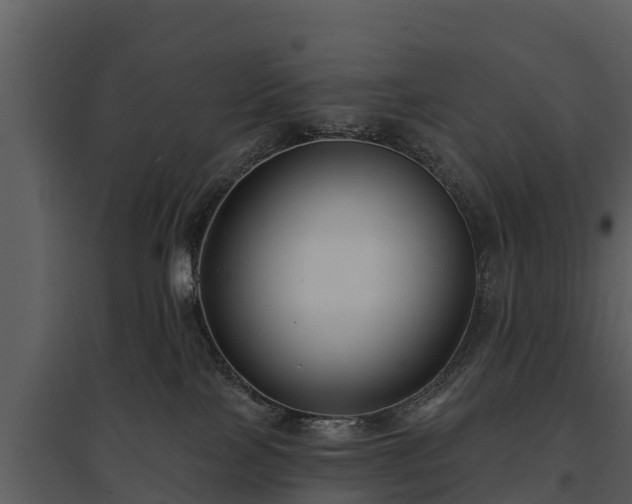 X0000095680089200801151135