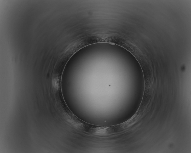 X0000095680090200801151135