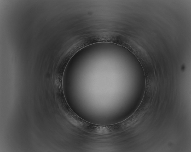 X0000095680091200801151135