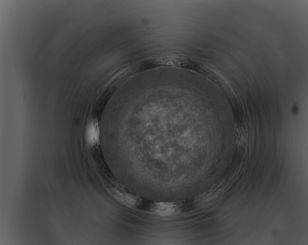 X0000095680095200801151135