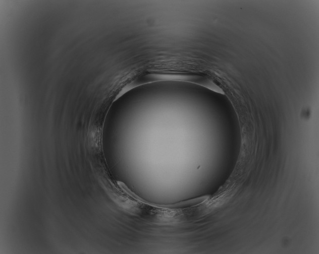 X0000095680096200801151135