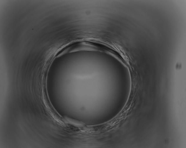 X0000095680097200801151134