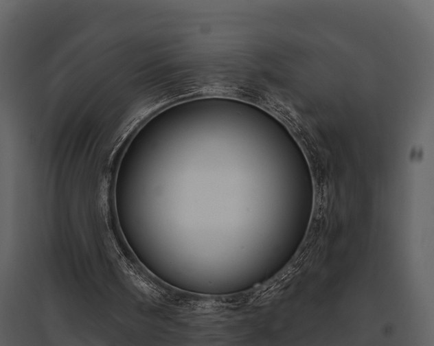 X0000095680098200801151134