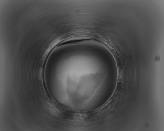 X0000095680099200801151134
