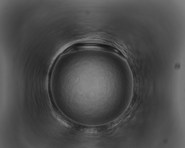 X0000095680100200801151134