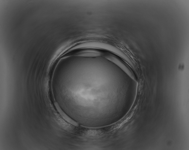 X0000095680101200801151134
