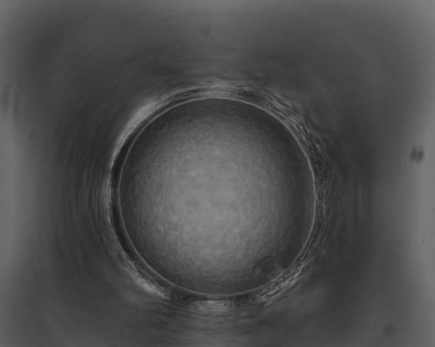 X0000095680102200801151134