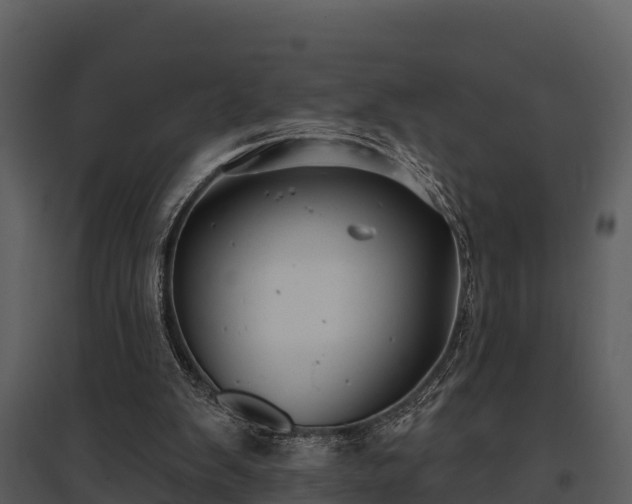 X0000095680103200801151134