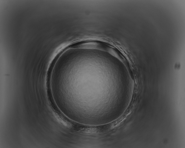 X0000095680104200801151134