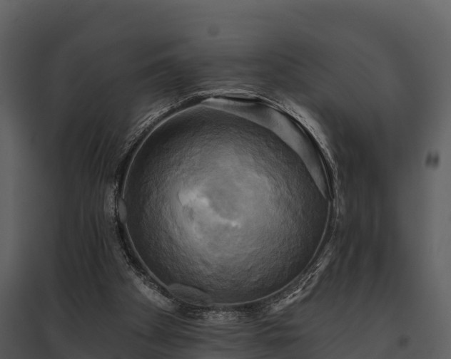X0000095680105200801151134