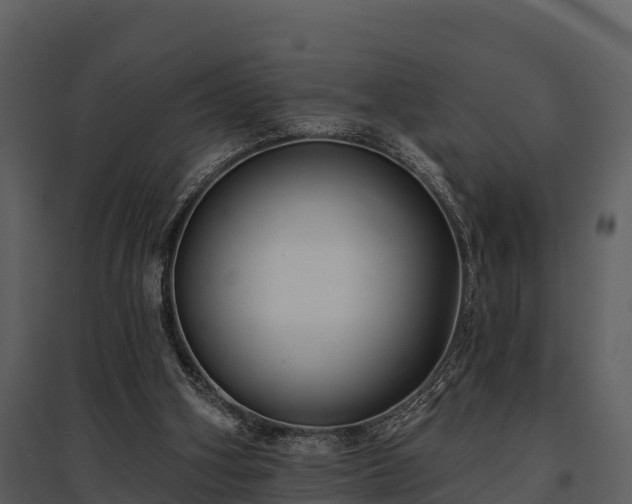 X0000095680106200801151134